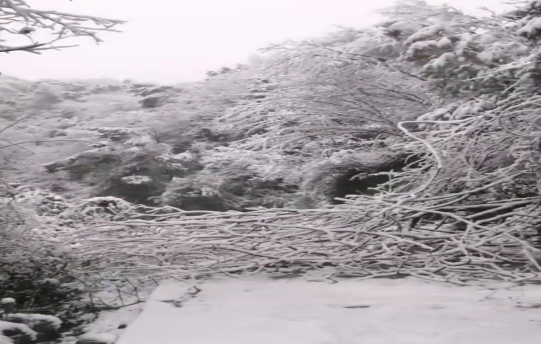 戰(zhàn)暴雪、保供電！湖南發(fā)展鳥兒巢公司應(yīng)對極端天氣緊急搶修失電故障